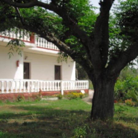 Corfu Country House Hotel Vitalades Room photo