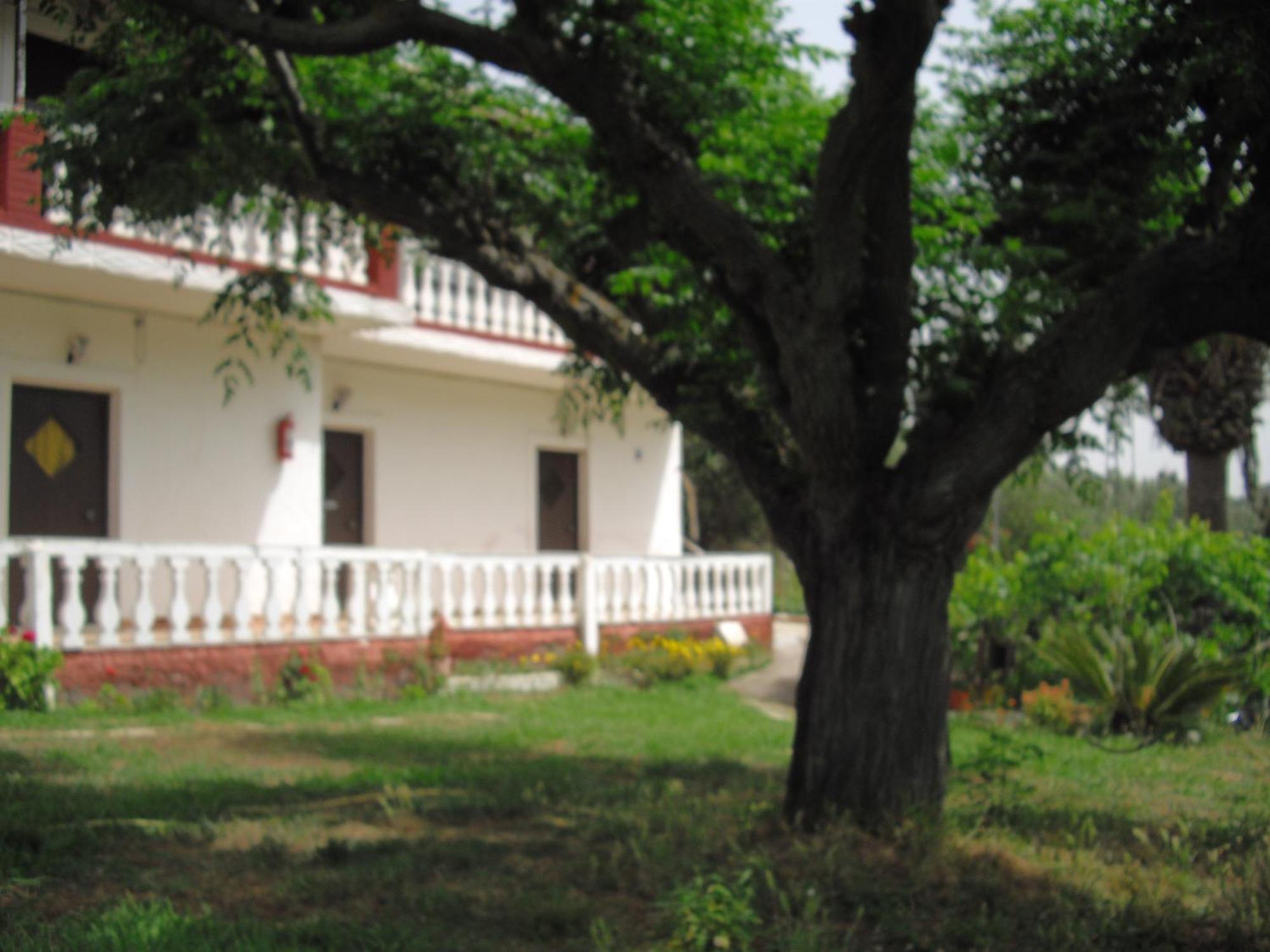 Corfu Country House Hotel Vitalades Room photo